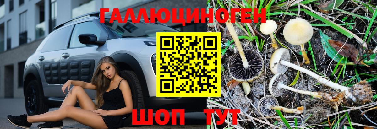 Псилоцибиновые грибы Magic Shrooms Людиново