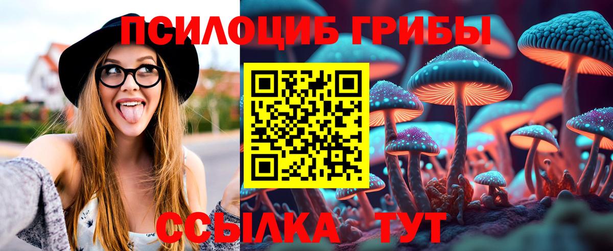 Людиново  Галлюциногенные грибы прущие грибы  Вход с VPN  Галлюциногенные грибы прущие грибы 
